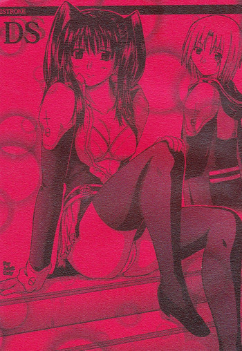 2ストローク DSの表紙画像