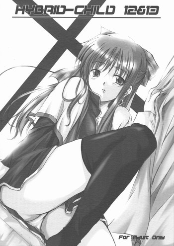 HYBRID-CHILD 12&13の表紙画像