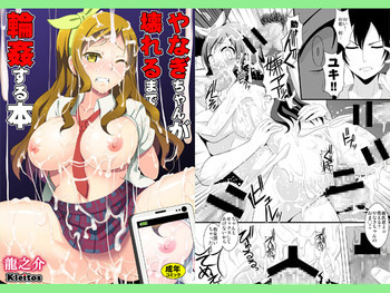 やなぎちゃんが壊れるまで輪姦する本の表紙画像