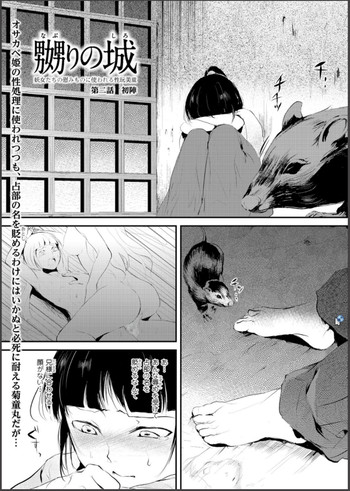 嬲りの城～妖女たちの慰みものに使われる性玩美童～の表紙画像