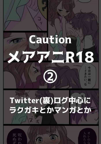 メアアニR18ログ②の表紙画像