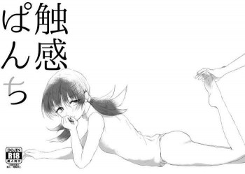 触感ぱんちの表紙画像
