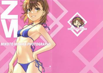 御坂美琴写真集ZVIの表紙画像