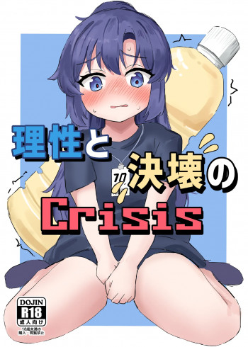 理性と決壊のCrisisの表紙画像