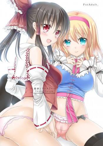 霊夢とアリスと...の表紙画像